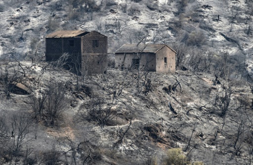 Algérie : 69 morts dans les incendies toujours en cours