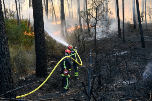 Incendie sur la Côte d'Azur : les pompiers "hyper vigilants" sur les jours à venir