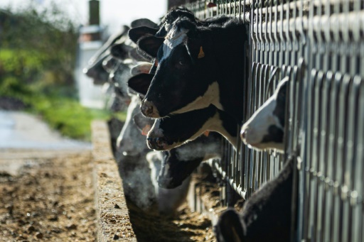 L'Hexagone a perdu 100.000 exploitations agricoles en dix ans