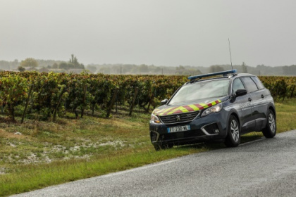 De Bordeaux à Hong Kong, les grands crus français aiguisent les appétits de la criminalité.jpg De Bordeaux à Hong Kong, les grands crus français aiguisent les appétits de la criminalité.jpg