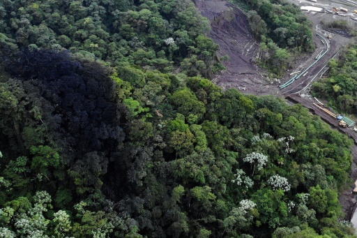 Du pétrole dans la rivière : catastrophe écologique en Amazonie équatorienne