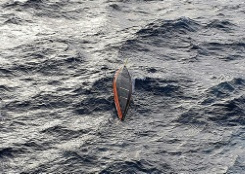 la marine portugaise dément avoir retrouvé le corps de l'aventurier français.jpg