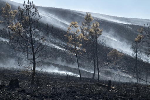Accalmie sur le front des incendies en France, en Espagne et au Portugal