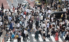 Le 15 novembre, le monde devrait compter 8 milliards d'humains