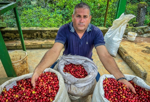 A Cuba, du café haut de gamme pour relancer un secteur en berne