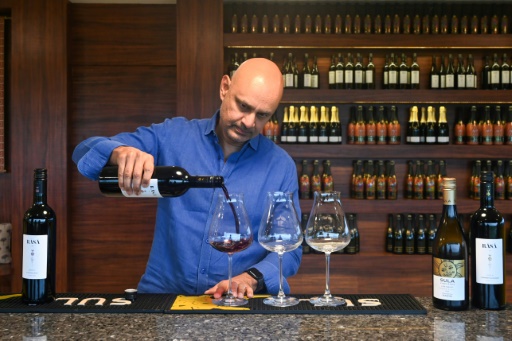 Le plus grand producteur de vin indien en quête de millions à la Bourse