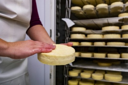 Munster, Brocciu, Fourme d'Ambert.jpg Munster, Brocciu, Fourme d'Ambert.jpg
