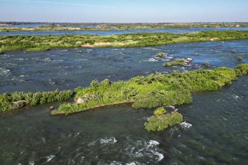 Au Cambodge, les derniers dauphins de l'Irrawaddy luttent pour leur survie