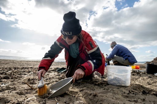 Dans les Cornouailles, l'invasion silencieuse des microbilles de plastique