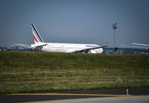 A Orly, les effaroucheurs se battent bec et ongles pour sauver oiseaux comme avions