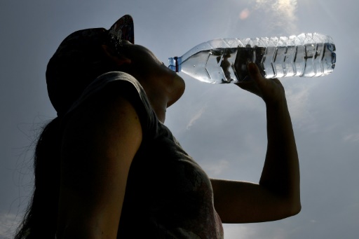 Canicule : les organismes mis à l'épreuve, des précautions à prendre.