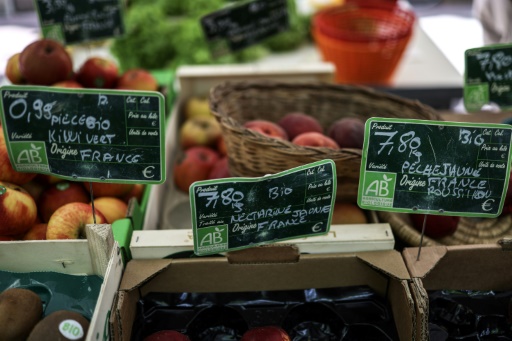 Face à la crise du bio, les agriculteurs d'Occitanie font le "dos rond"