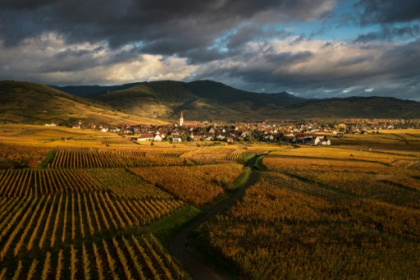 en rouge et or, la Route des vins fête ses 70 ans.jpg en rouge et or, la Route des vins fête ses 70 ans.jpg