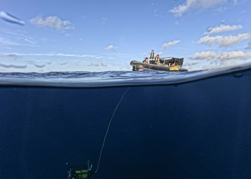 Greenpeace appelle à la création d'une première réserve marine mondiale en haute mer