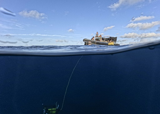Greenpeace appelle à la création d'une première réserve marine mondiale en haute mer