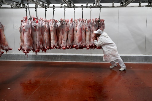 Les Français ont un peu moins d'appétit pour la viande