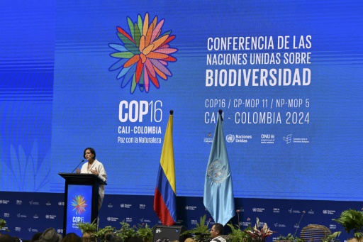 Biodiversité : à Cali, une COP16 pour passer de la parole aux actes