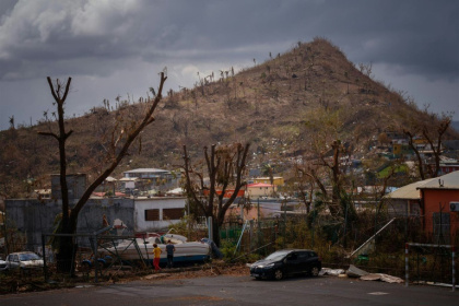 Des habitations endommagées et des arbres tombés, à Pamandzi à Mayotte, le 17 décembre 2024 Des habitations endommagées et des arbres tombés, à Pamandzi à Mayotte, le 17 décembre 2024