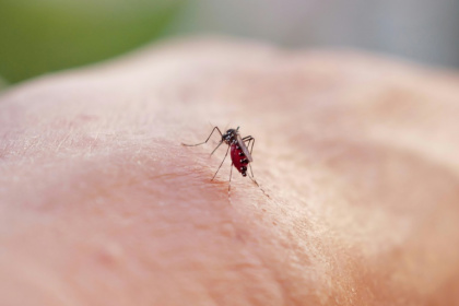 Du 24 au 30 mars, 6.289 cas ont été confirmés, selon le dernier bulletin de Santé publique France, portant à 27.521 le nombre de cas totaux