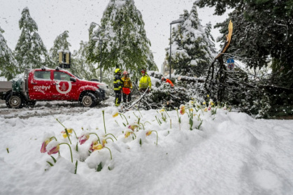 Des pompiers dégagent un arbre tombé sur une route dans les Alpes suisses le 17 avril 2025 Des pompiers dégagent un arbre tombé sur une route dans les Alpes suisses le 17 avril 2025