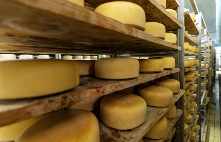 Le fromage de Pag, des siècles de tradition et d'embruns
