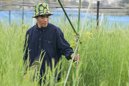 Takuya Haraguchi, directeur de ReFruits Co., inspecte ses plants de kiwis lors d'une interview avec l'AFP dans sa ferme, à quelques kilomètres de la centrale nucléaire sinistrée de Fukushima, le 24 avril 2025 à Okuma, au Japon - Richard A. Brooks (AFP)