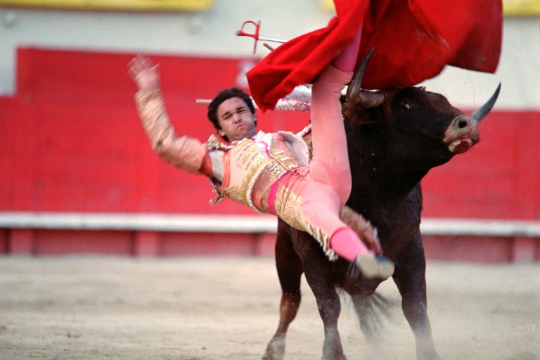 L'avenir économique de la corrida "se pose" en France, selon un rapport