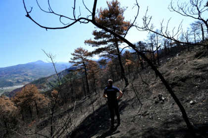 Le chef des pompiers Ilir Llapushi inspecte les dégâts causés par des incendies à Skenderbegas, près de Gramsh, dans le centre de l'Albanie, le 16 septembre 2025 - Adnan Beci (AFP) Le chef des pompiers Ilir Llapushi inspecte les dégâts causés par des incendies à Skenderbegas, près de Gramsh, dans le centre de l'Albanie, le 16 septembre 2025 - Adnan Beci (AFP)