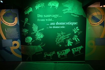 . - Lionel BONAVENTURE (AFP) . - Lionel BONAVENTURE (AFP)