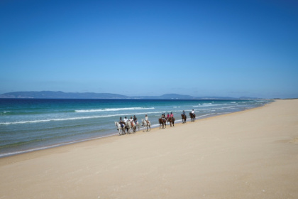 Des touristes se promènent à cheval sur la plage de Comporta, le 11 septembre 2025 au Portugal - Patricia DE MELO MOREIRA (AFP) Des touristes se promènent à cheval sur la plage de Comporta, le 11 septembre 2025 au Portugal - Patricia DE MELO MOREIRA (AFP)