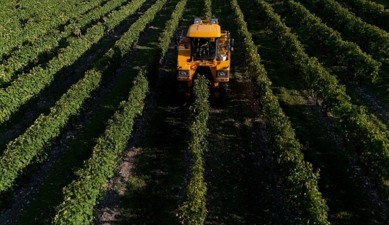 "Faire tourner la boîte" : pourquoi les indépendants prennent peu le congé de paternité