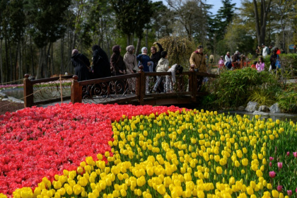 Le festival annuel de la tulipe d'Istanbul, le 13 avril 2026 - Yasin AKGUL (AFP)