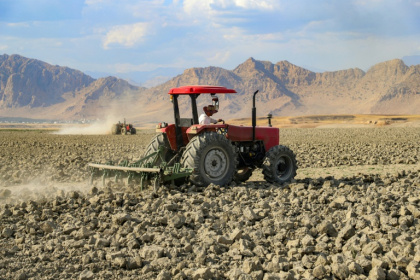 Un agriculteur dans un champ touché par la sécheresse, le 4 juin 2025 dans la région du Kurdistan irakien - Shwan MOHAMMED (AFP)