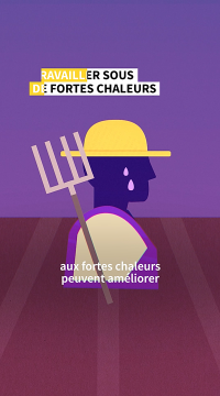 travailler fortes chaleurs.png