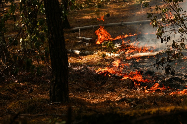 Au coeur du centre européen qui orchestre la lutte contre les incendies