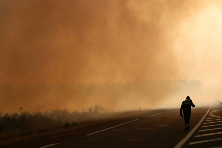 Incendies en Europe : les derniers développements