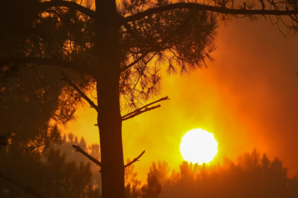 De la fumée s'élève d'une forêt à Claouey, au nord du bassin d'Arcachon, le 29 juillet 2026, lors des incendies qui ravagent la Gironde, dans le sud-ouest de la France - ROMAIN PERROCHEAU (AFP)