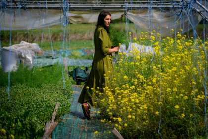 L'agricultrice Kyria Gay pose dans sa ferme lors d'une séance photo à Montjoie-en-Couserans (Ariège), le 14 avril 2026 - Valentine CHAPUIS (AFP)