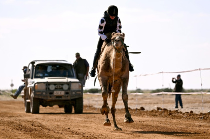 Une photo prise le 27 juin 2026 montre la cavalière Joanne Bell participant à une course de dromadaires dans la ville de Marree, située dans l'Outback de l'Australie-Méridionale - William WEST (AFP)