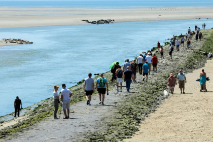 Des touristes viennent contempler des phoques dans la baie d'Authie, près de Berck-sur-Mer (Pas-de-Calais) le 26 mai 2026 - Francois LO PRESTI (AFP)