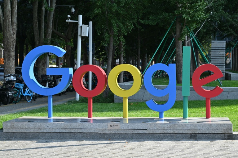 Faux avis sur internet : Google affirme qu'il "n'a pas les moyens de vérifier"