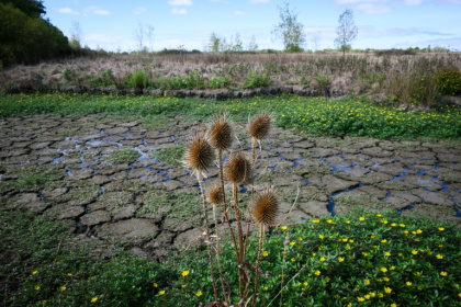 Le lit d'un ruisseau à sec à Machecoul, en Loire-Atlantique, le 3 septembre 2026 - Loic VENANCE (AFP)